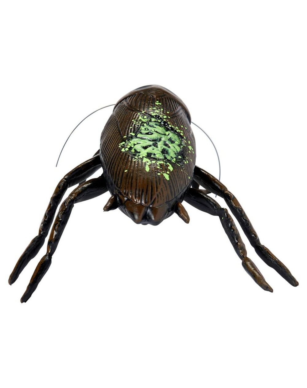 Zombie Cockroach Static Prop - Picture 4 of 4